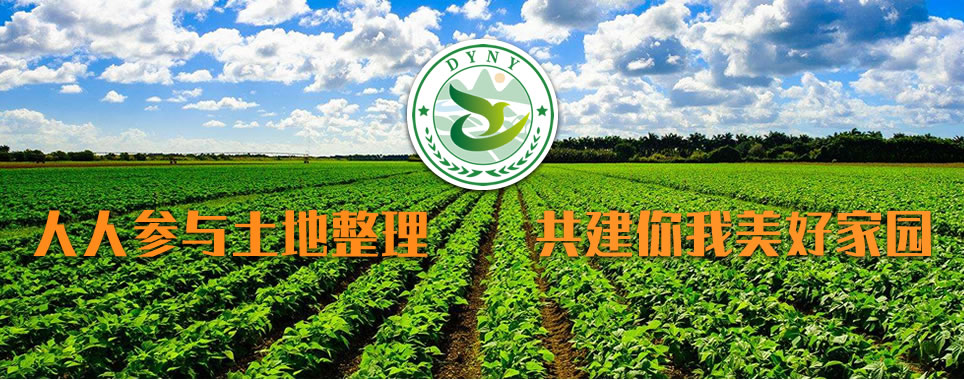 山東圣起重型機(jī)械有限公司